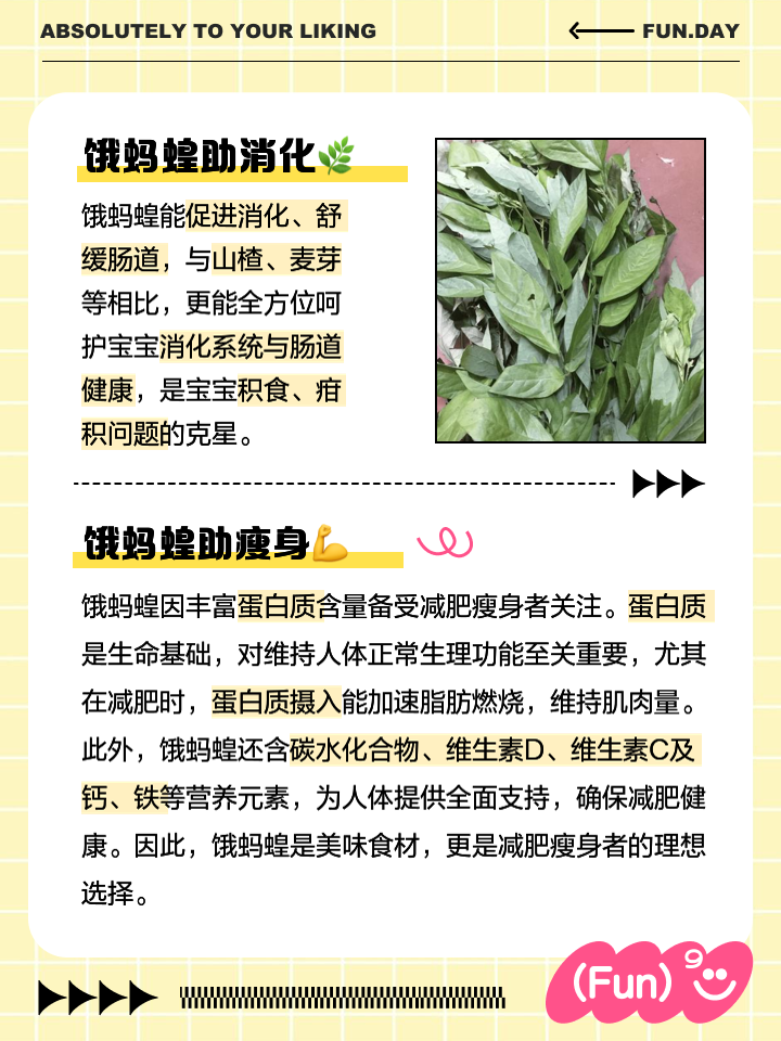 饿蚂蝗的功效与作用有哪些?看完这篇文章你就全懂了。