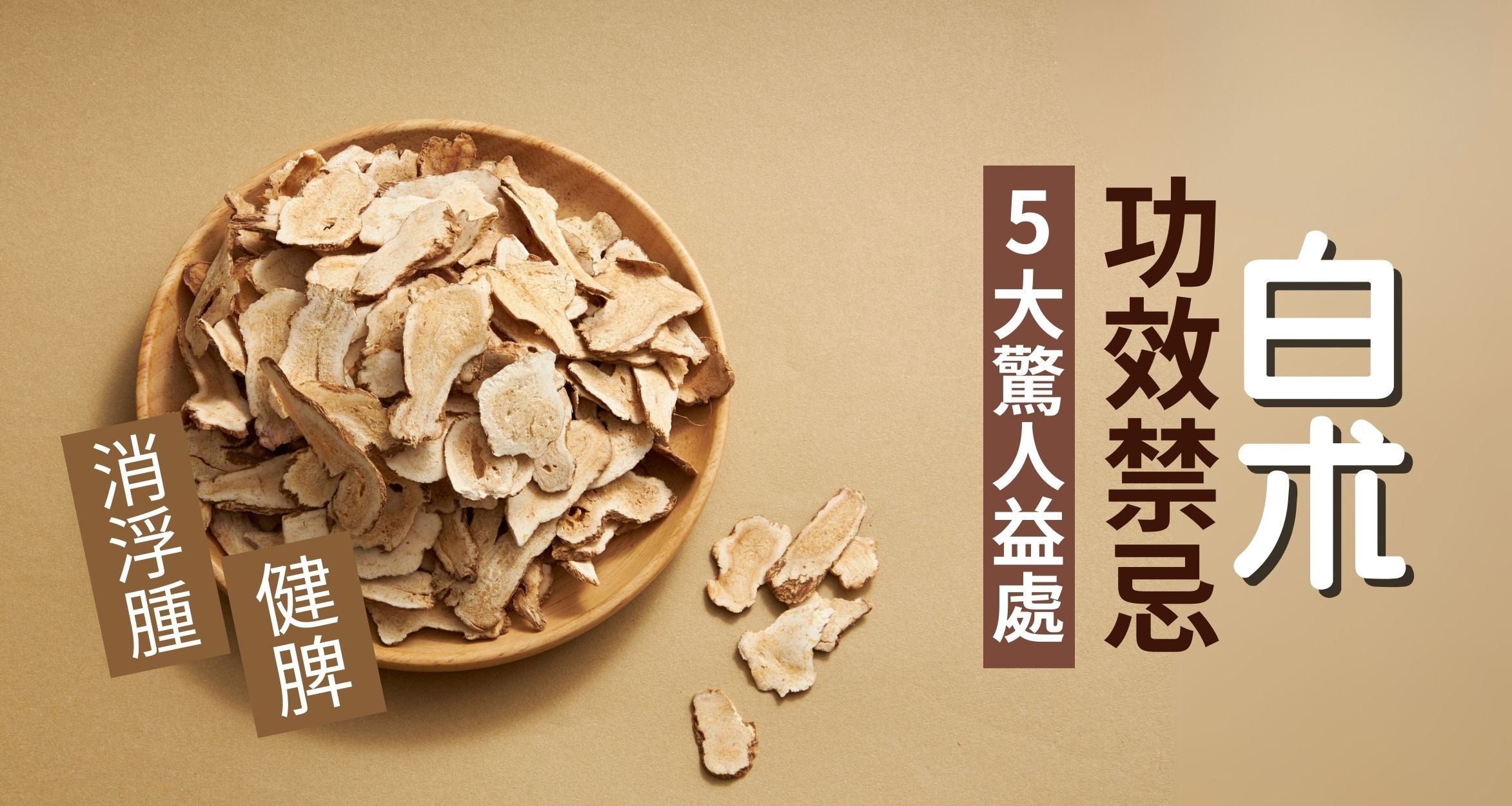 白术功效对脾胃好不好?脾虚湿气重的人看过来!