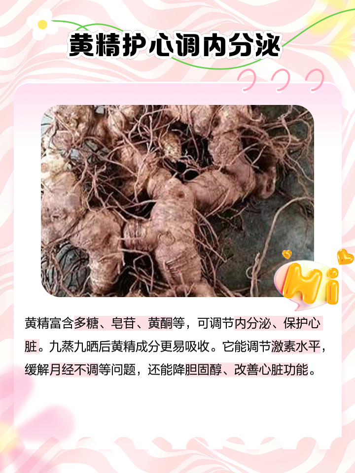 黄精的作用与功效是什么?简单说说让你一听就明白!