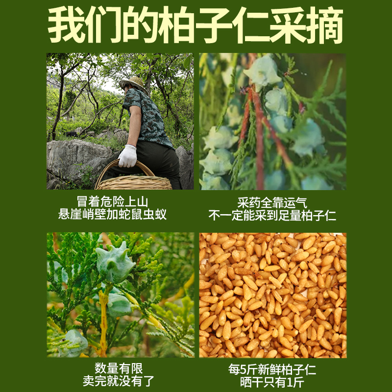 想知道柏子仁功效与作用?看完这篇你就懂了!