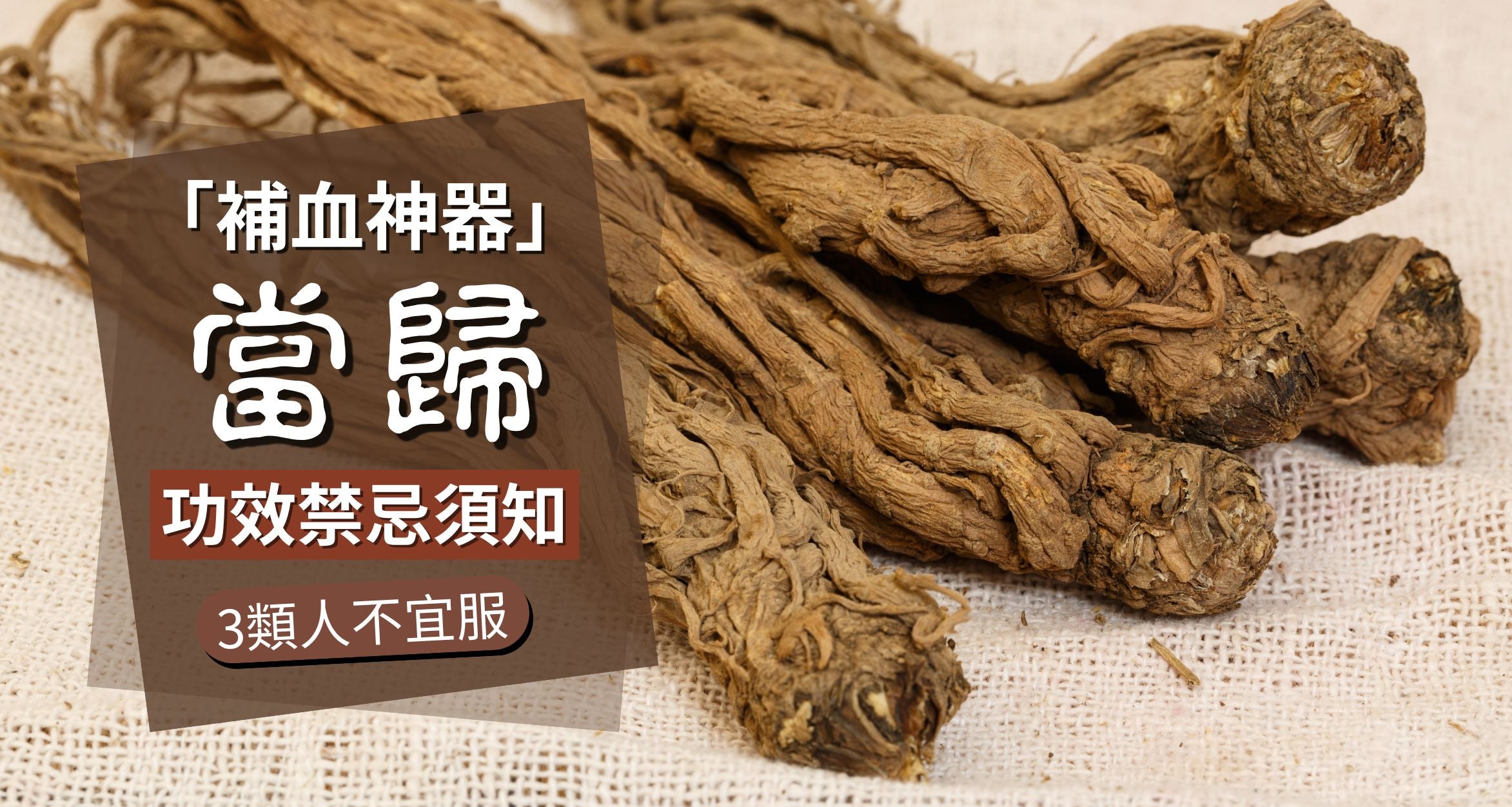 当归的功效和作用不止补血!这些用途很多人不知道!